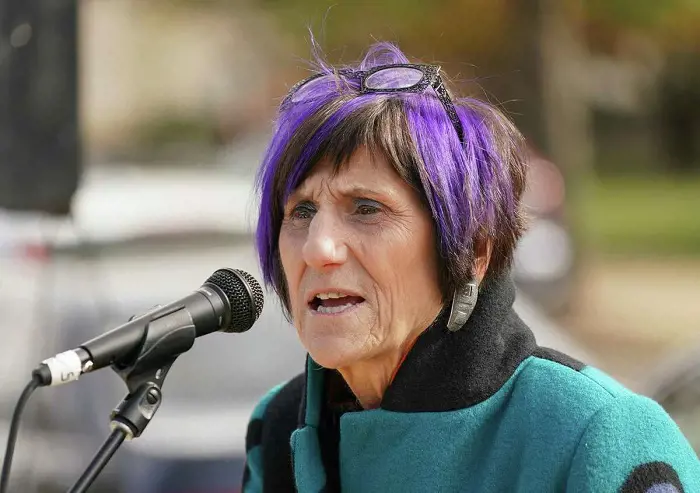 Congresswoman Rosa DeLauro of Connecticut speaks at a press conference on November 14, 2019 in Washington, DC.